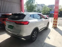 2021 Haval H6 1.5T AT Guochao Urban, белый — фото 7