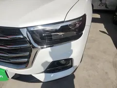 2021 Haval H6 1.5T AT Guochao Urban, белый — фото 24