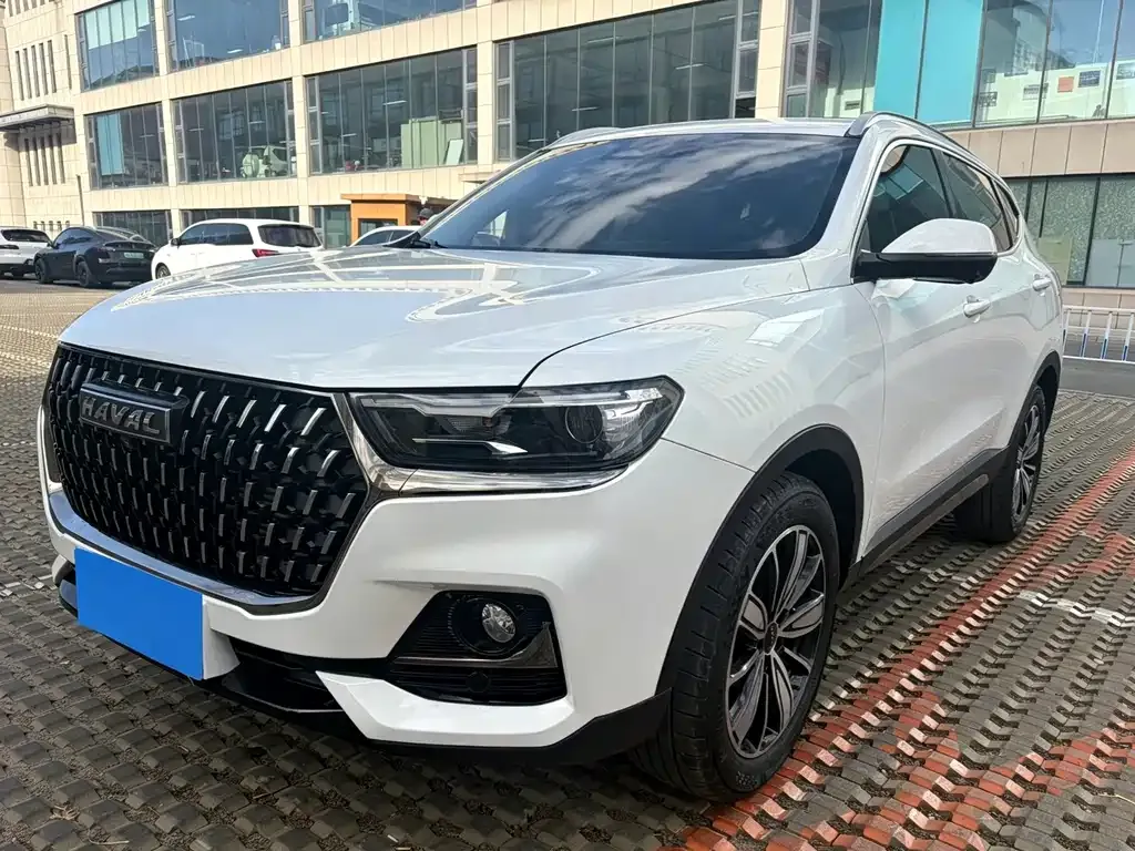 2023 Haval H6 1.5T AT Guochao Champion