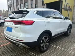 2023 Haval H6 1.5T AT Guochao Champion, белый — фото 4