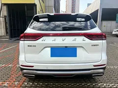 2023 Haval H6 1.5T AT Guochao Champion, белый — фото 5