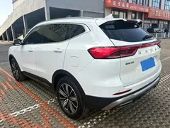 2023 Haval H6 1.5T AT Guochao Champion, белый — фото 6