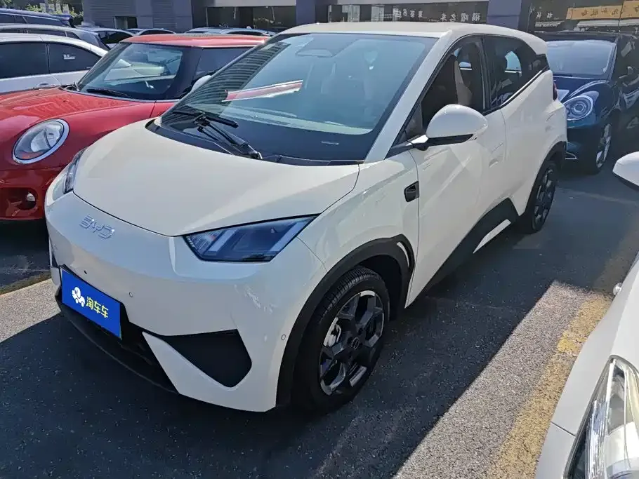 2025 BYD Seagull Smart Driving 305km Freedom