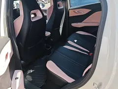 2025 BYD Seagull Smart Driving 305km Freedom, белый — фото 11