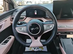 2025 BYD Seagull Smart Driving 305km Freedom, белый — фото 15
