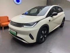 2025 BYD Dolphin Smart Driving 410km Fashion — фото 1