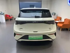 2025 BYD Dolphin Smart Driving 410km Fashion — фото 5