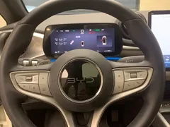 2025 BYD Dolphin Smart Driving 410km Fashion — фото 10