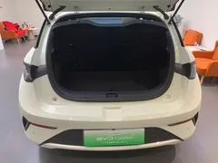 2025 BYD Dolphin Smart Driving 410km Fashion — фото 18