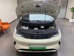 2025 BYD Dolphin Smart Driving 410km Fashion — фото 19