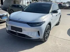 2023 Leapmotor C11 EV 500 — фото 6