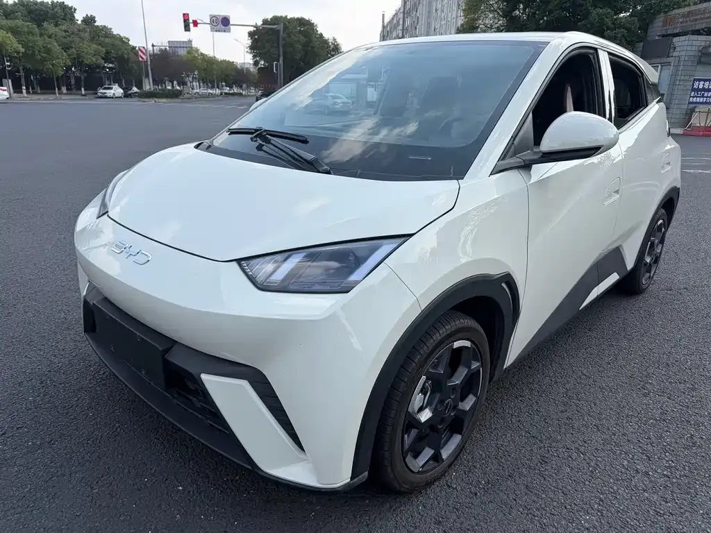 2024 BYD Seagull EV Glory 405km Flying