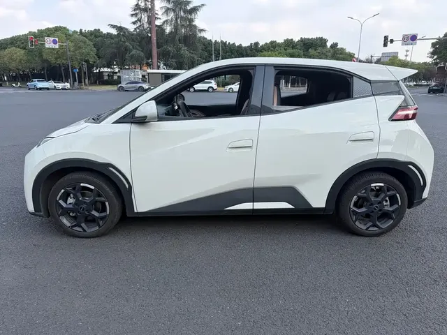 2024 BYD Seagull EV Glory 405km Flying