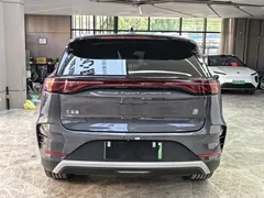 2024 BYD Tang DM-i PHEV 112KM Honor Edition Premium — фото 6