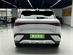 2025 BYD Yuan PLUS EV 510km Smart Driving Exceed, белый — фото 5