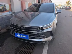 2024 BYD Destroyer 05 DM-i PHEV 55km Luxury — фото 2