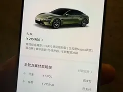 2024 Xiaomi SU7 RWD Standard Founder Edition, зелёный — фото 11