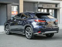 2020 Lexus RX 300 4WD Elegance, синий — фото 6
