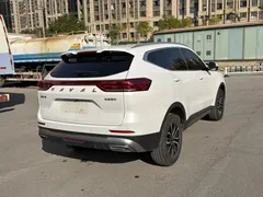2023 Haval H6 1.5T AT Guochao Champion, белый — фото 8
