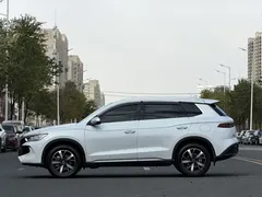 2024 BYD Song Pro Honor DM-i PHEV 71km Navigator, белый — фото 8