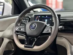 2024 BYD Song Pro Honor DM-i PHEV 71km Navigator, белый — фото 22