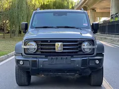 2021 Tank 300 Off-road 2.0T Conqueror — фото 2