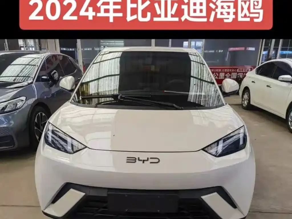 2023 BYD Seagull Vitality