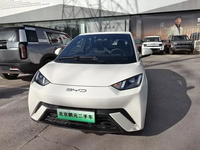 2023 BYD Seagull Vitality