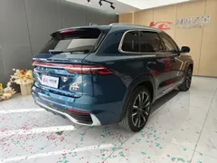2021 Geely Monjaro 2.0TD DCT EVO 2WD Flagship, синий — фото 6