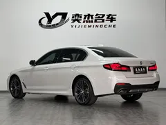 2022 BMW 5 Series 530Li M Sport Package, белый — фото 8