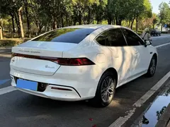 2024 BYD Qin PLUS EV 420km Leading, белый — фото 7