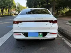 2024 BYD Qin PLUS EV 420km Leading, белый — фото 8