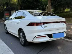 2024 BYD Qin PLUS EV 420km Leading, белый — фото 9