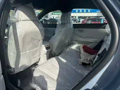 2026 BYD Qin Max DM-i PHEV 230km — фото 4