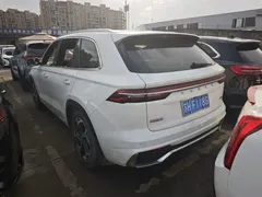 2021 Geely Monjaro 2.0TD DCT EVO 2WD Flagship, белый — фото 9