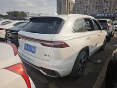 2021 Geely Monjaro 2.0TD DCT EVO 2WD Flagship, белый — фото 10