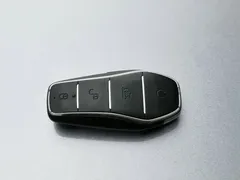 2023 BYD Qin PLUS Champion DM-i PHEV 120KM — фото 19