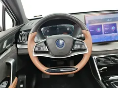 2021 BYD Tang DM-i PHEV 112km Premium — фото 15