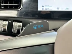 2025 BYD Sealion 06 DM-i PHEV 205 Plus — фото 11