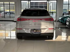 2025 BYD Sealion 06 DM-i PHEV 205 Plus — фото 21