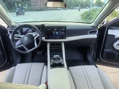 2024 BYD Yuan UP 401km Leading — фото 14