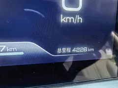 2024 BYD Yuan UP 401km Leading — фото 15