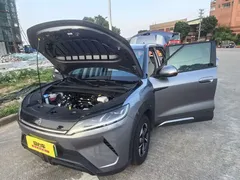2024 BYD Yuan UP 401km Leading — фото 17