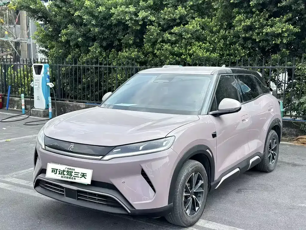 2025 BYD Yuan UP Smart Driving 401km Vitality