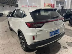 2020 Honda XR-V 1.5L CVT Luxury, белый — фото 5
