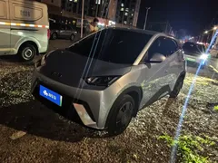 2024 BYD Seagull EV 305km Honor Freedom, синий — фото 1