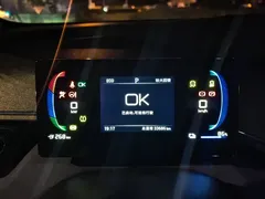 2024 BYD Seagull EV 305km Honor Freedom, синий — фото 14