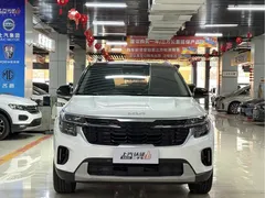 2023 Kia Seltos 1.5L CVT Luxury, белый — фото 2