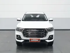 2021 Haval H6 1.5GDIT AT Guochao Champion, белый — фото 3