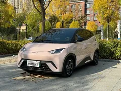 2025 BYD Seagull EV 405km Flying — фото 1